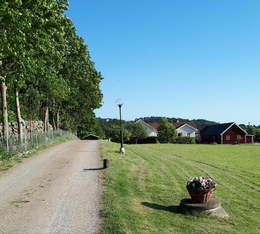 Stenaberg Kungsbacka Luaran gambar