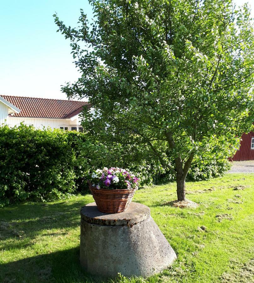 Stenaberg Kungsbacka Luaran gambar