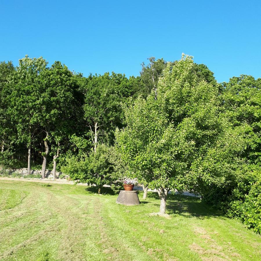 Stenaberg Kungsbacka Luaran gambar